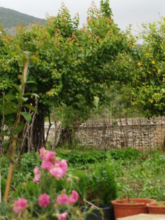 La Casa Di Nonna *
