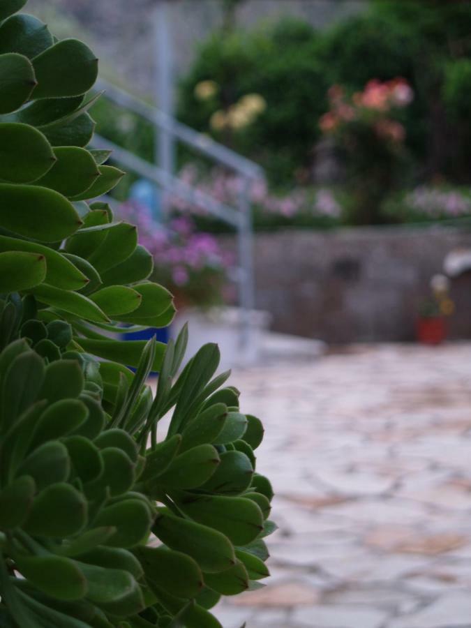 La Casa Di Nonna *